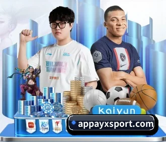 ayx体育 APP