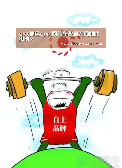 ayx体育app|网约车改革为何如此纠结？(图2)