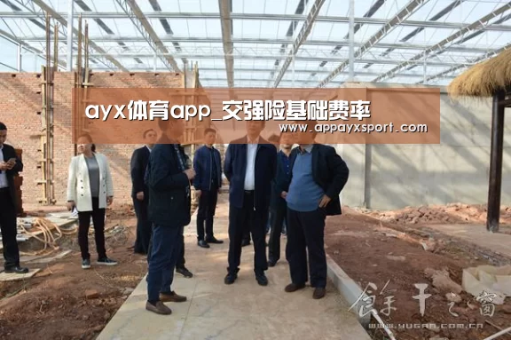 ayx体育app_交强险基础费率(图1)