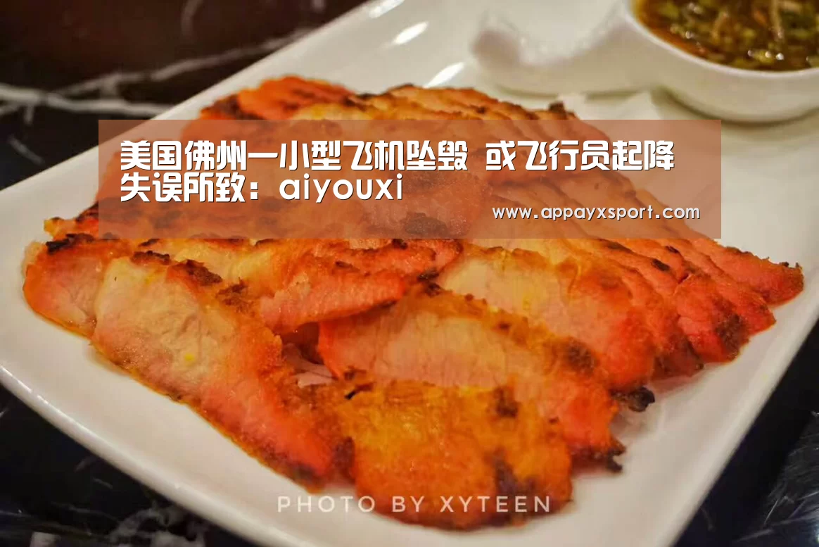 美国佛州一小型飞机坠毁 或飞行员起降失误所致:aiyouxi(图1) 美国佛州一小型飞机坠毁 或飞行员起降失误所致:aiyouxi(图1)