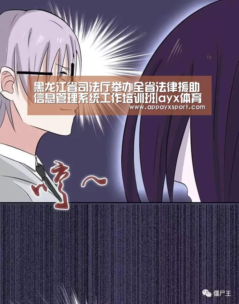 黑龙江省司法厅举办全省法律援助信息管理系统工作培训班|ayx体育app(图4)