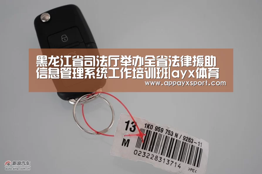 黑龙江省司法厅举办全省法律援助信息管理系统工作培训班|ayx体育app(图3)