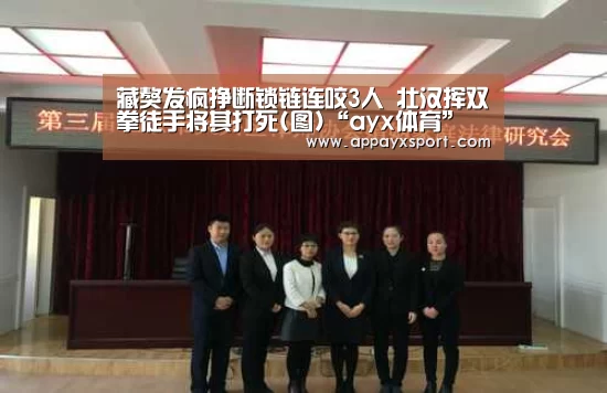 藏獒发疯挣断锁链连咬3人 壮汉挥双拳徒手将其打死(图)“ayx体育”(图1) ayx体育app